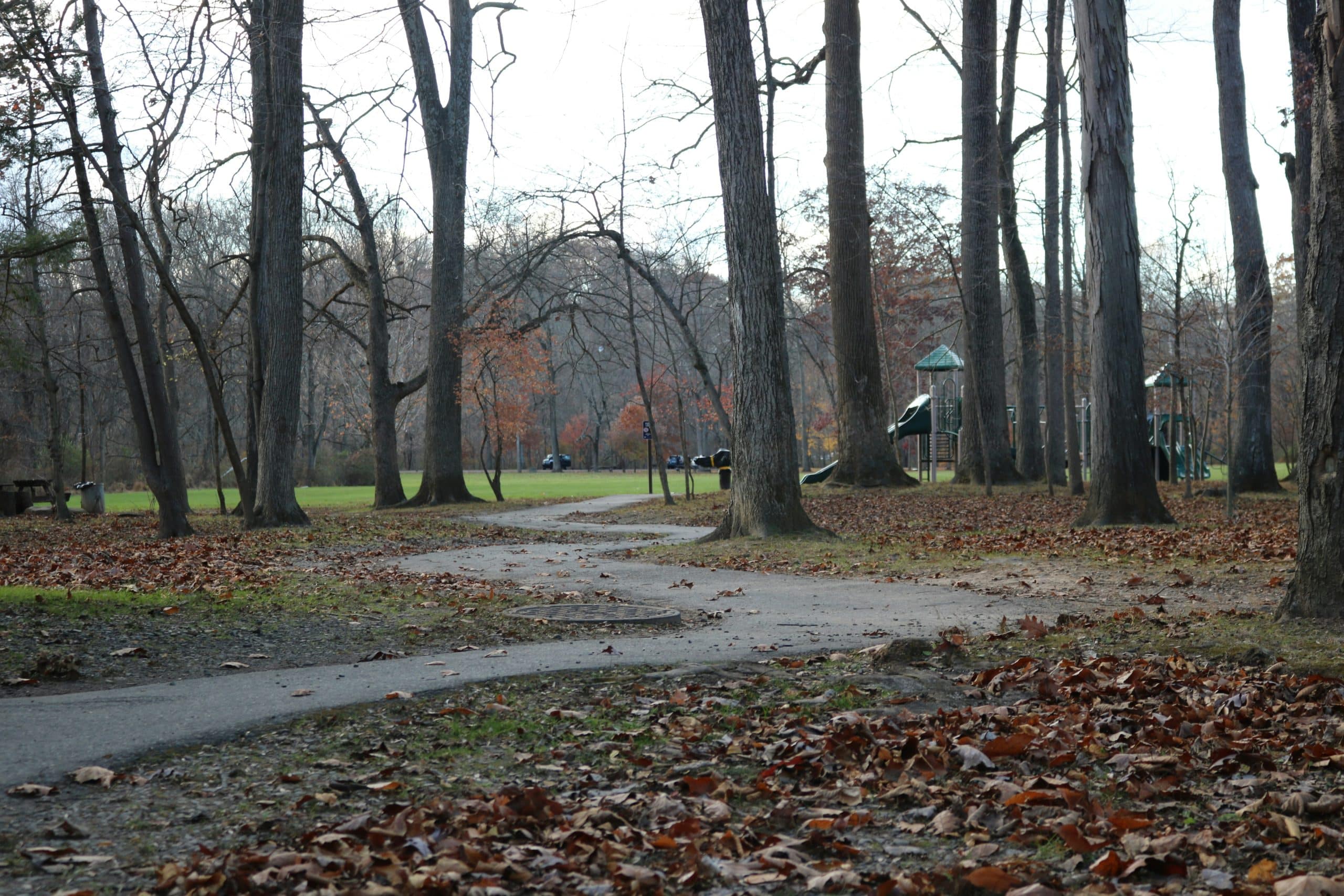Tyler State Park, Newtown PA. Autumn park scene with tall bare trees, a winding path, and a distant playground; leaves cover the ground.