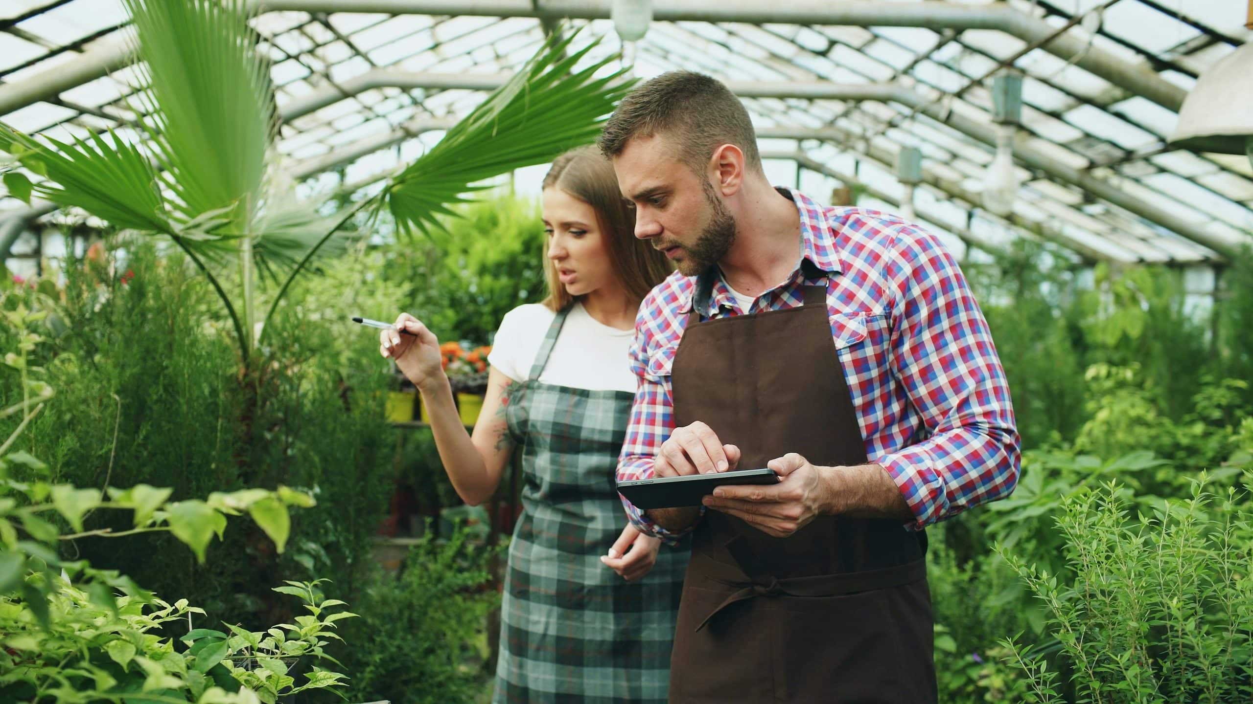 Man in brown apron and plaid shirt uses a tablet while a woman in a checkered dress points with a pen in a greenhouse.